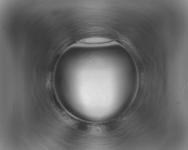 X0000062860073200601271541