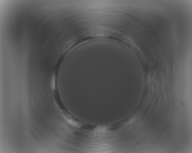 X0000062860076200601271541