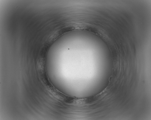 X0000062860078200601271541