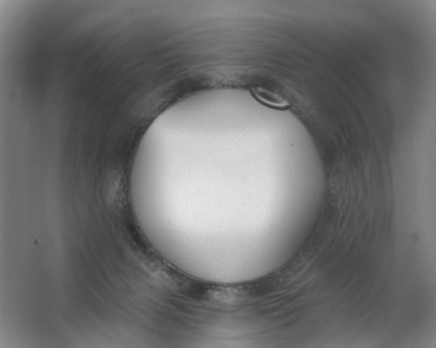 X0000062860079200601271541