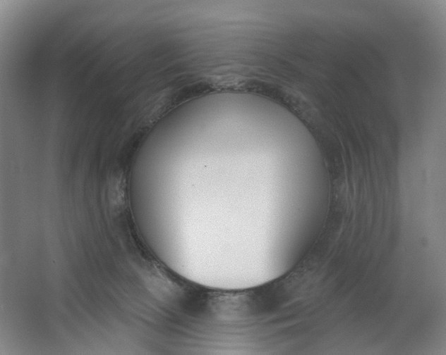 X0000062860081200601271541