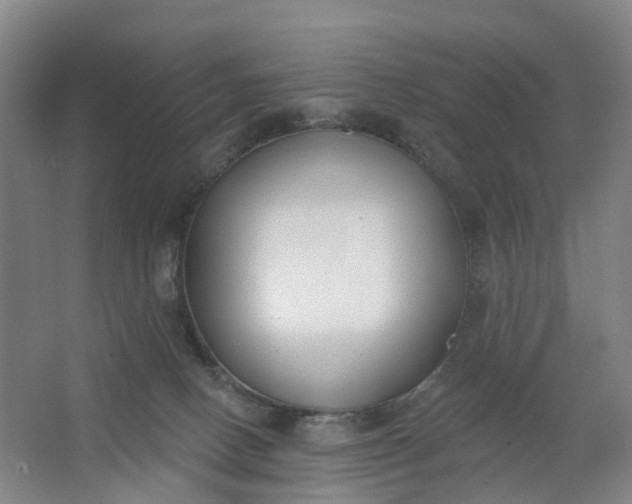 X0000062860082200601271541