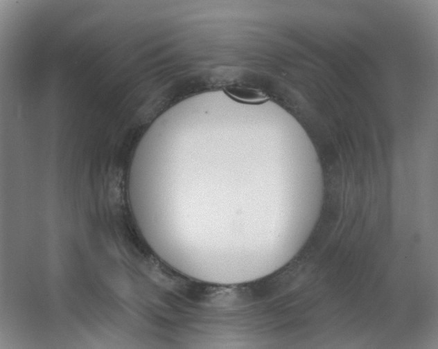 X0000062860083200601271541