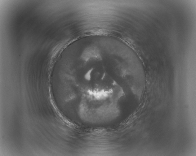 X0000062860097200601271540