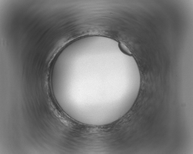 X0000062860098200601271540
