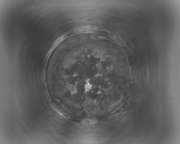 X0000062860099200601271540