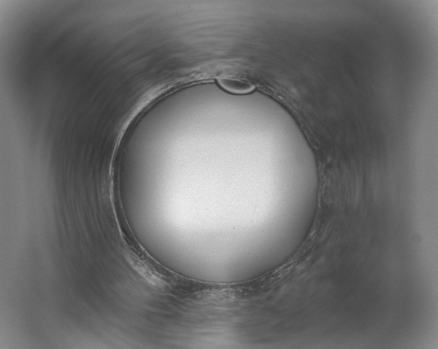 X0000062860100200601271540