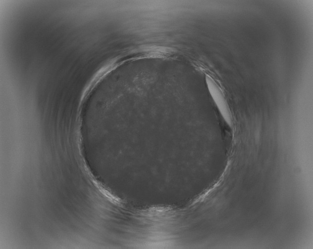 X0000062860101200601271540