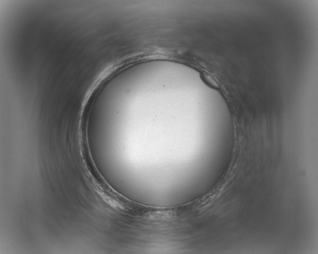 X0000062860102200601271540