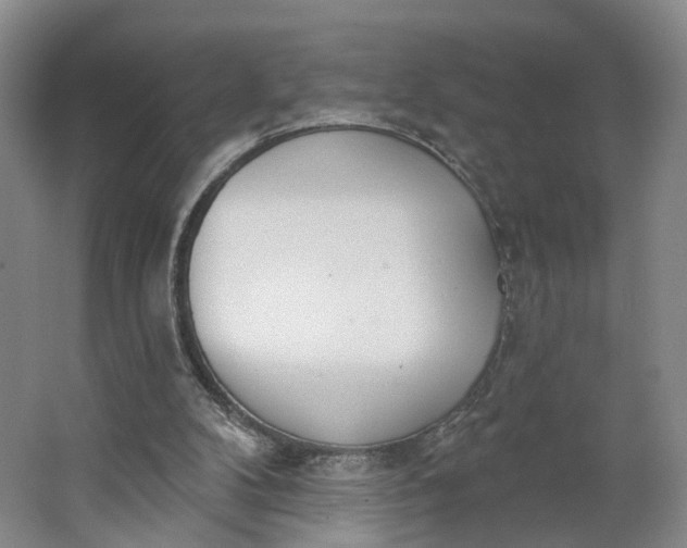 X0000062860104200601271540