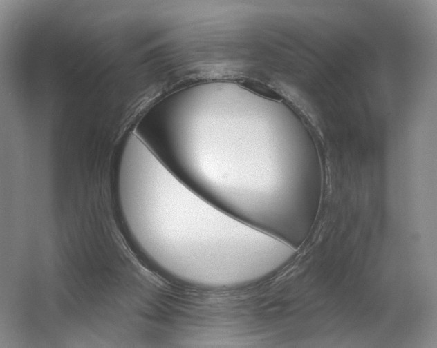 X0000062860105200601271540