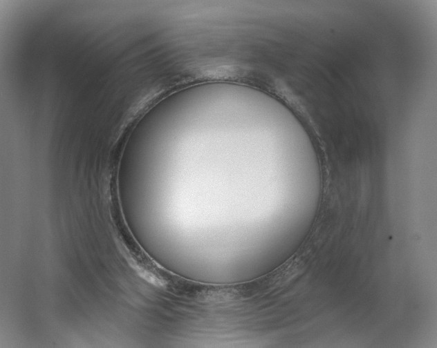 X0000062860106200601271540