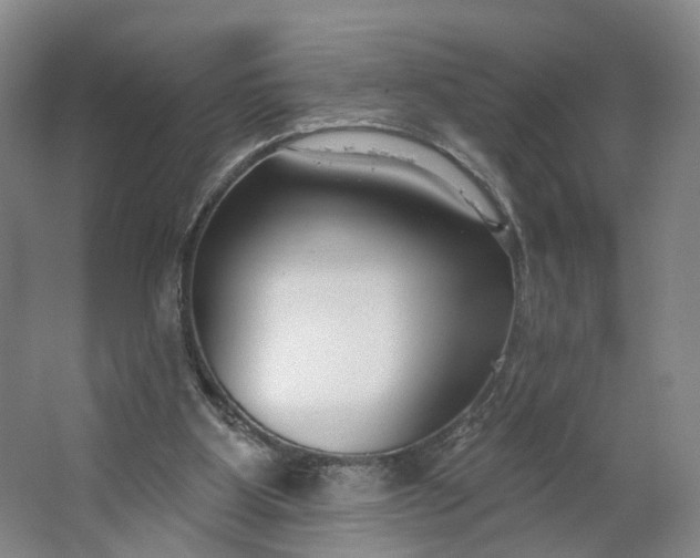 X0000062860107200601271540