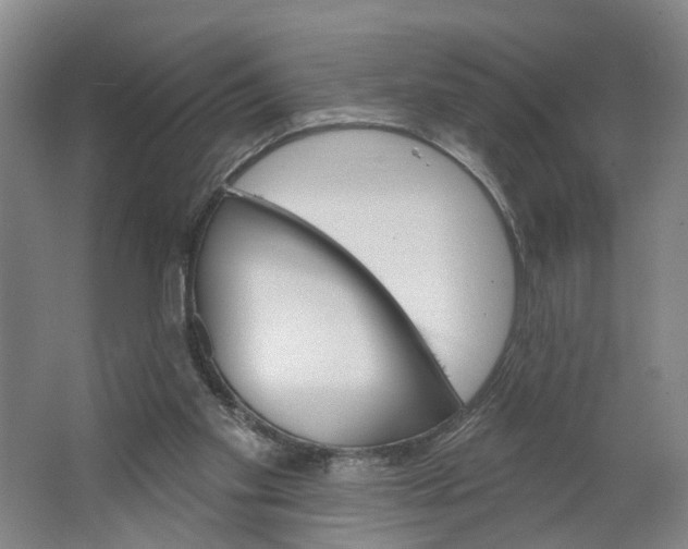 X0000062860109200601271540