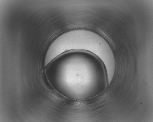 X0000062860117200601271540