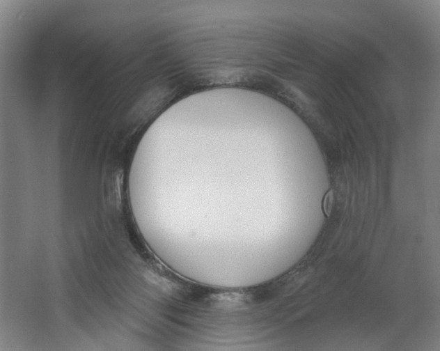 X0000062860118200601271540