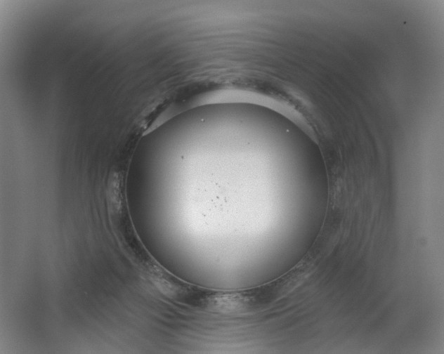 X0000062860121200601271540