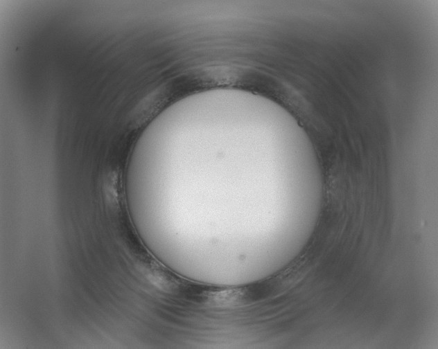 X0000062860122200601271540