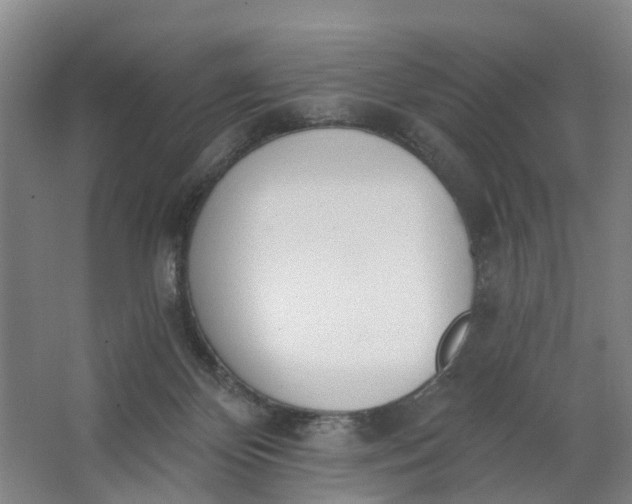 X0000062860124200601271540