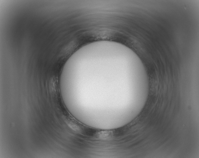 X0000062860126200601271540