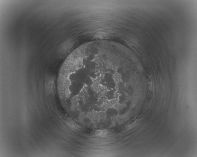 X0000062860127200601271540