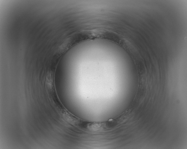 X0000062860129200601271540