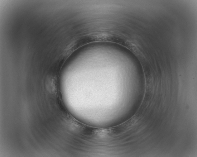 X0000062860131200601271540