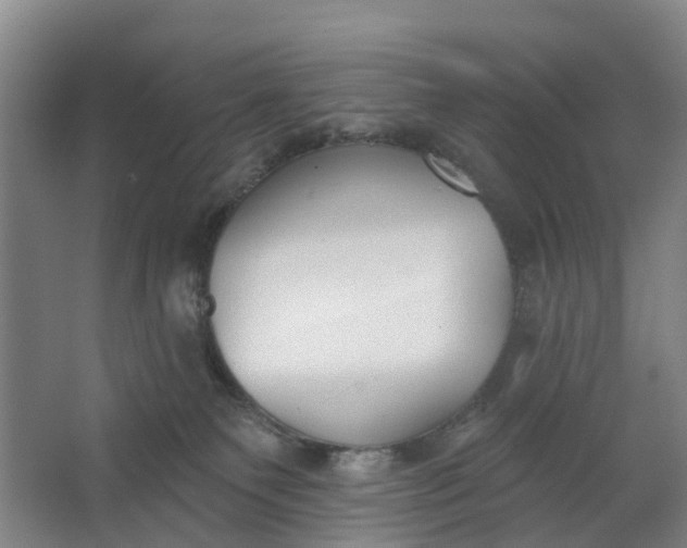 X0000062860135200601271540
