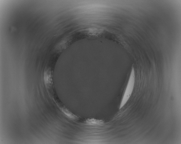X0000062860137200601271540