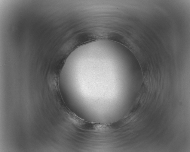 X0000062860141200601271540
