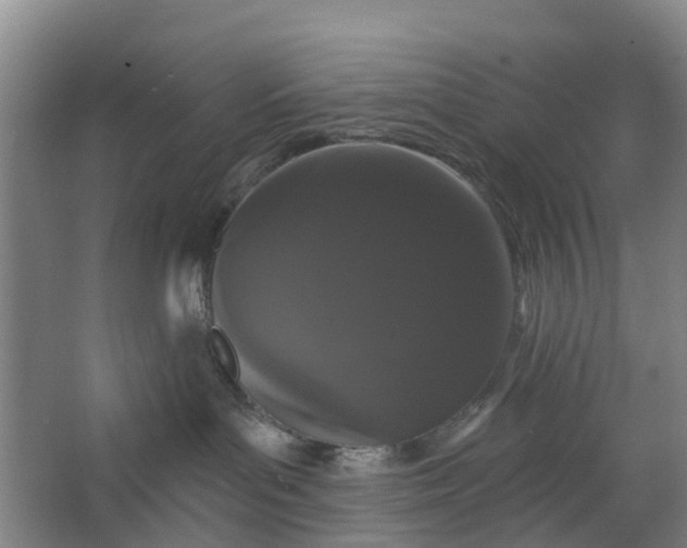 X0000062860143200601271540