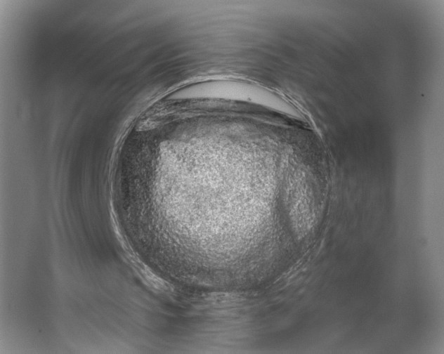 X0000062860145200601271539
