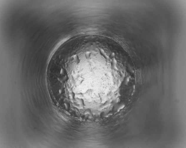 X0000062860147200601271539