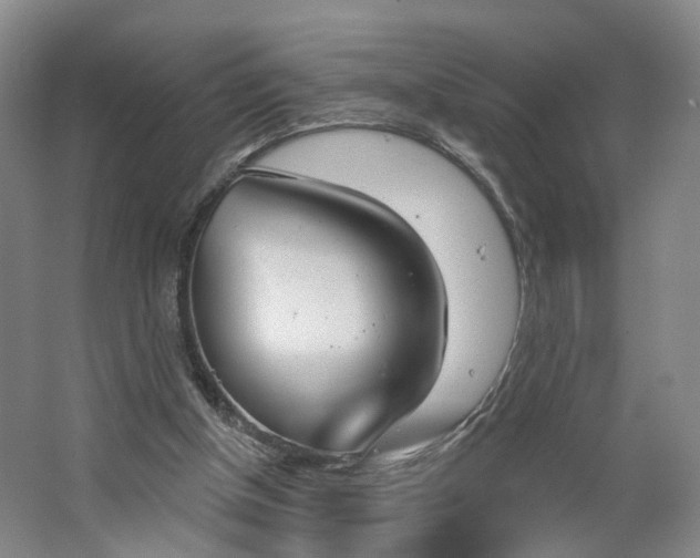 X0000062860154200601271539