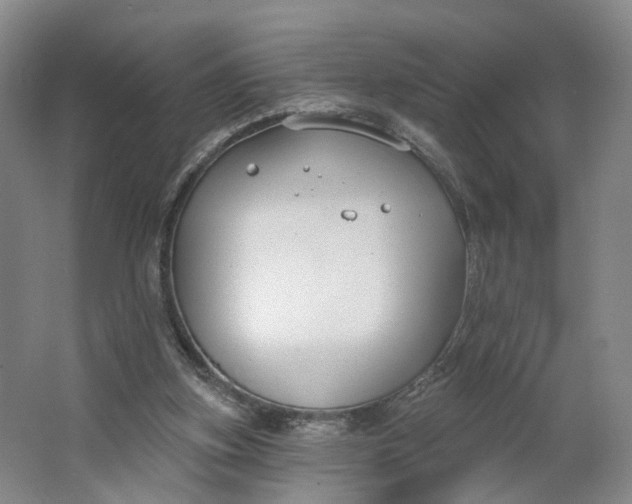 X0000062860155200601271539