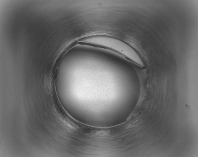 X0000062860156200601271539