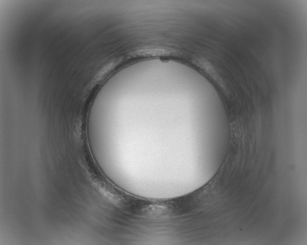 X0000062860159200601271539