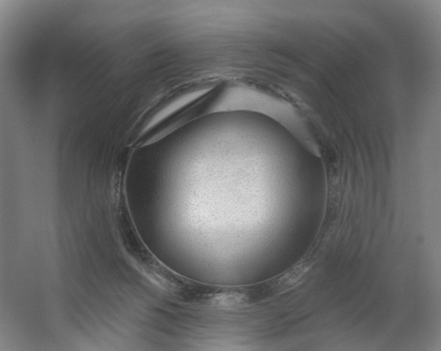 X0000062860168200601271539