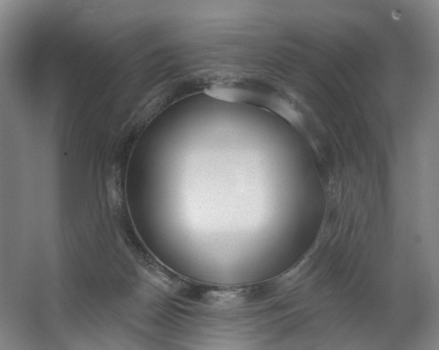 X0000062860170200601271539