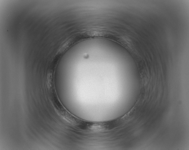 X0000062860171200601271539