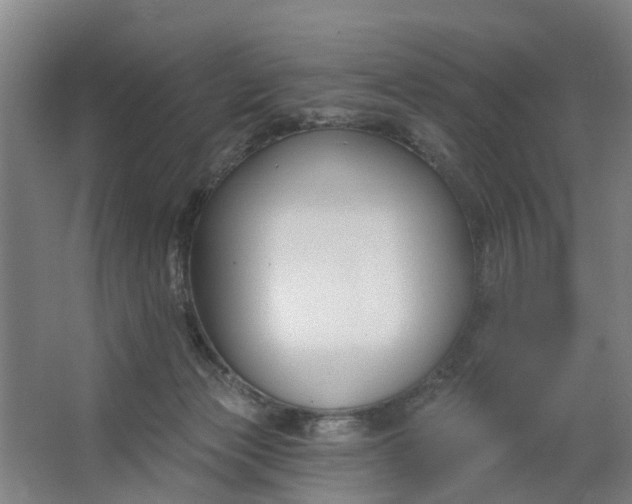 X0000062860173200601271539