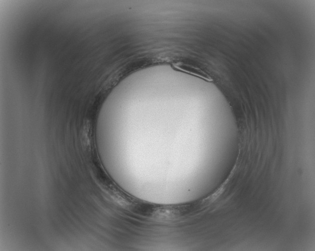 X0000062860174200601271539
