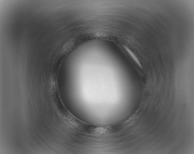 X0000062860176200601271539