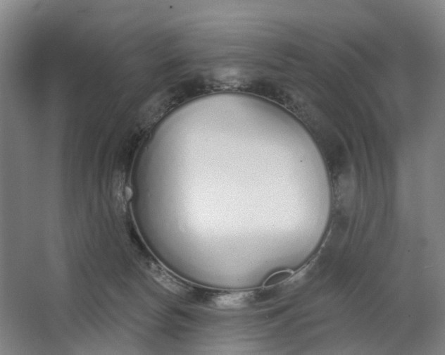 X0000062860178200601271539