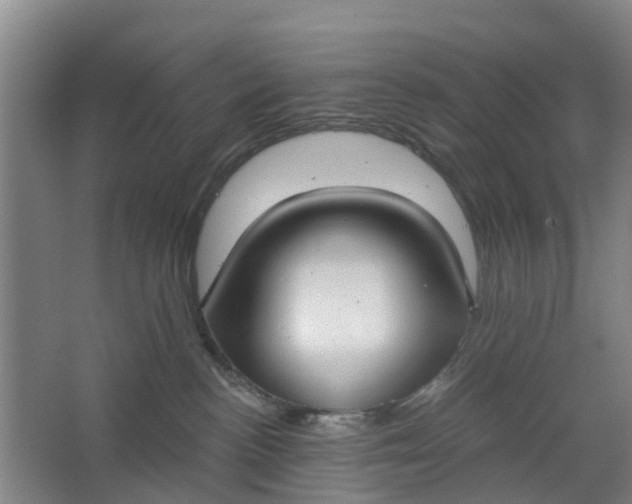 X0000062860188200601271539