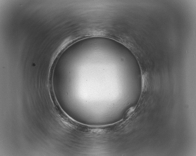 X0000062860195200601271539