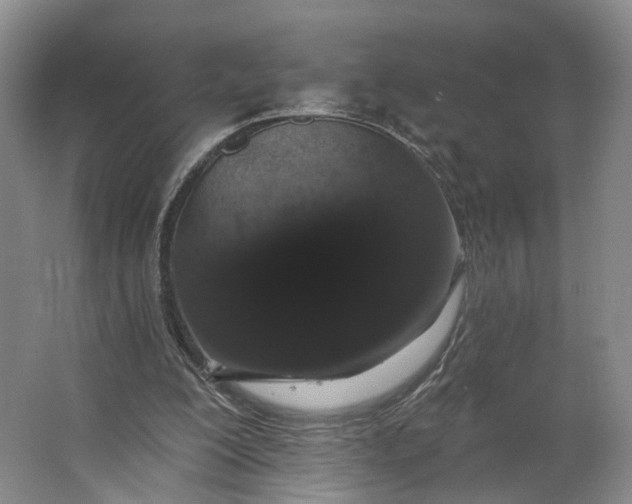 X0000062860200200601271539