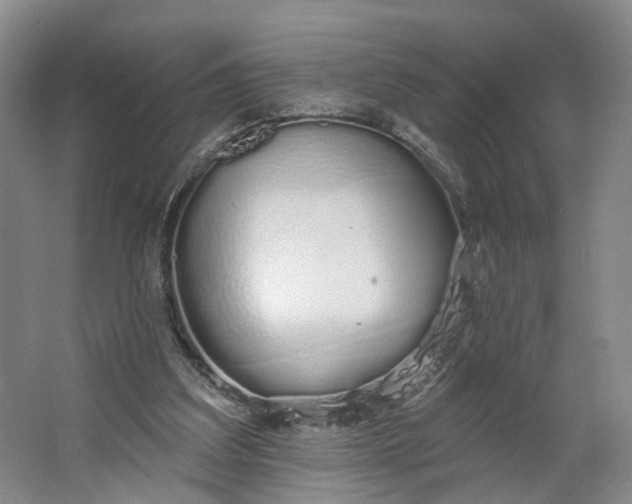 X0000062860203200601271538