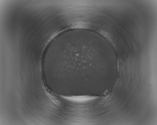 X0000062860204200601271538