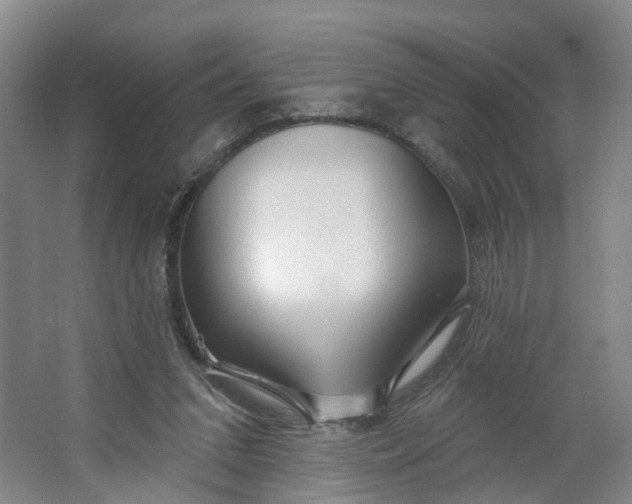 X0000062860207200601271538